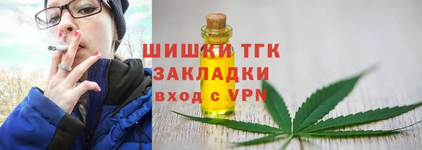 амф Новозыбков