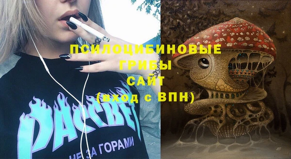 амф Новозыбков