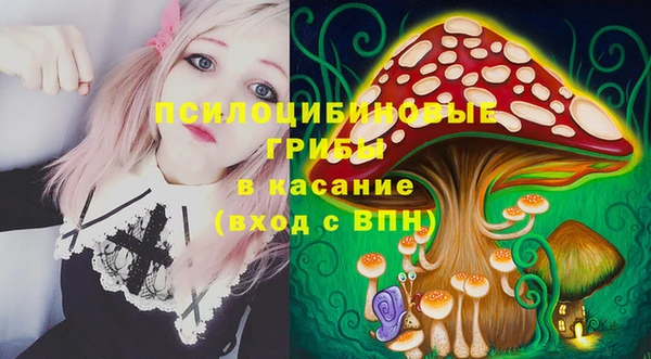 амф Новозыбков