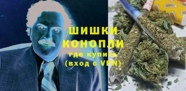 амф Новозыбков