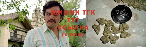 амф Новозыбков
