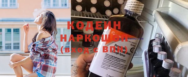 амф Новозыбков