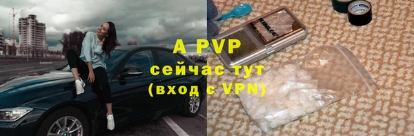 амф Новозыбков