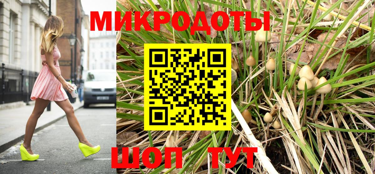 Славянск-на-Кубани  Псилоцибиновые грибы ЛСД  Вход с VPN 