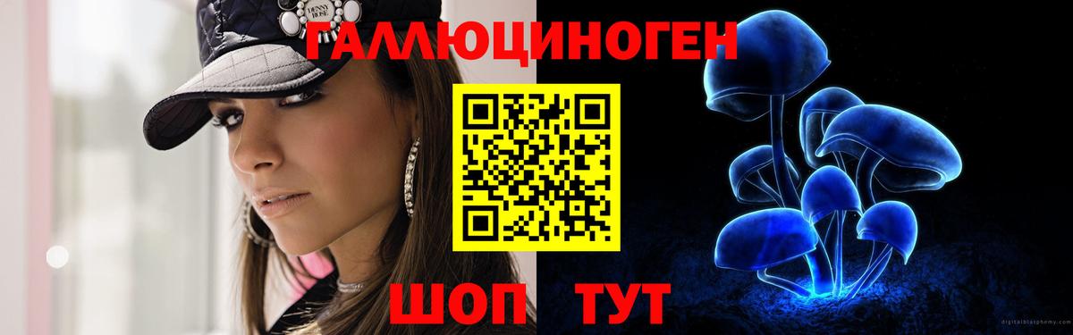 Галлюциногенные грибы Psilocybe Славянск-на-Кубани